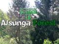 Jeu Retour à la forêt d'Alsunga en ligne