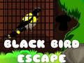 Jeu Évasion de l'Oiseau Noir en ligne