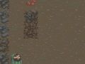 Jeu La Survie en ligne
