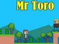 Jeu Monsieur Toro en ligne