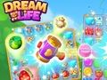 Jeu La vie de rêve en ligne
