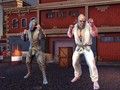 Jeu Monde des Combattants : Poings de Fer en ligne