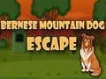 Jeu Évasion du chien de montagne bernois en ligne