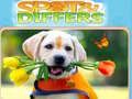 Jeu Repérer et Différencier en ligne Jeu Repérer et Différencier en ligne