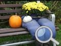 Jeu Jardin d'automne : Trouvez 100 papillons en ligne
