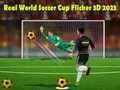 Jeu Coupe du Monde de Soccer Réelle Flicker 3D 2023 en ligne Jeu Coupe du Monde de Soccer Réelle Flicker 3D 2023 en ligne