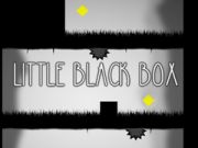 Jeu Petite boîte noire en ligne
