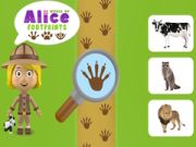 Jeu Monde des empreintes d'Alice en ligne