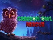 Jeu Sauvetage de la Chouette Cramoisie en ligne