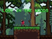 Jeu Perdu dans les bois en ligne
