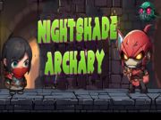 Jeu Tir à l'Ombre de la Nuit en ligne