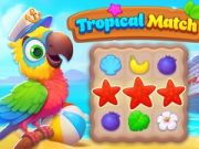 Jeu Match Tropical en ligne