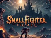 Jeu Évasion du Petit Combattant en ligne