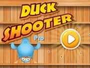 Jeu Tireur de Canards Pro en ligne