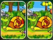 Jeu Différences Photo Insectes en ligne