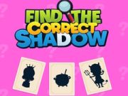 Jeu Trouvez l'ombre correcte en ligne