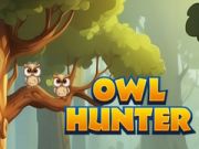 Jeu Chasseur de hiboux en ligne