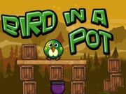 Jeu Bir dans un pot en ligne