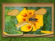 Jeu Trouver et restaurer: puzzle caché en ligne