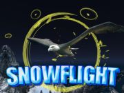 Jeu Vol de neige en ligne
