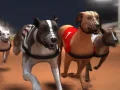 Jeu Courses de lévriers en ligne