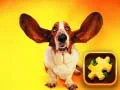 Jeu Puzzle de Chiens Drôles en ligne Jeu Puzzle de Chiens Drôles en ligne
