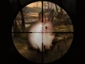 Jeu Chasse au sniper de lapins classique 2019 en ligne Jeu Chasse au sniper de lapins classique 2019 en ligne