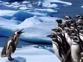 Jeu Glissade des Pingouins en ligne