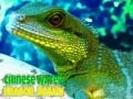 Jeu Puzzle du Dragon d'eau chinois en ligne Jeu Puzzle du Dragon d'eau chinois en ligne