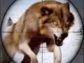 Jeu Chasse aux animaux sauvages en ligne Jeu Chasse aux animaux sauvages en ligne