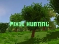Jeu Chasse aux pixels en ligne