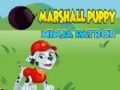 Jeu Patrouille Ninja des Chiens de Marshall en ligne