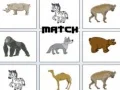 Jeu Match en ligne Jeu Match en ligne
