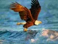 Jeu Puzzle Animaux Aigle en ligne Jeu Puzzle Animaux Aigle en ligne