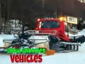 Jeu Véhicules de Piste Neige en ligne