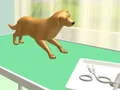 Jeu Soins des pattes en ligne