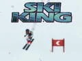 Jeu Roi du Ski en ligne