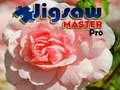 Jeu Maître du Puzzle Pro en ligne Jeu Maître du Puzzle Pro en ligne