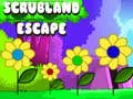 Jeu Évasion dans la Brousse en ligne Jeu Évasion dans la Brousse en ligne