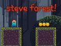 Jeu Forêt de Steve en ligne