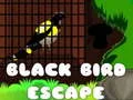 Jeu Évasion de l'Oiseau Noir en ligne