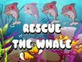 Jeu Sauvez la baleine en ligne Jeu Sauvez la baleine en ligne