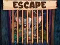 Jeu Évasion de la jolie petite chauve-souris en ligne
