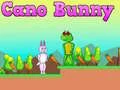 Jeu Cano Lapin en ligne