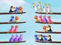 Jeu Puzzle de tri des oiseaux en ligne Jeu Puzzle de tri des oiseaux en ligne