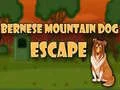 Jeu Évasion du chien de montagne bernois en ligne Jeu Évasion du chien de montagne bernois en ligne