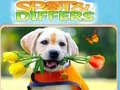 Jeu Repérer et Différencier en ligne Jeu Repérer et Différencier en ligne