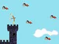 Jeu Chasseur d'Oiseaux en ligne