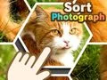 Jeu Trier des photographies en ligne Jeu Trier des photographies en ligne