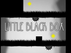 Jeu Petite boîte noire en ligne